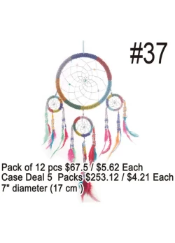 Dream Catchers #37