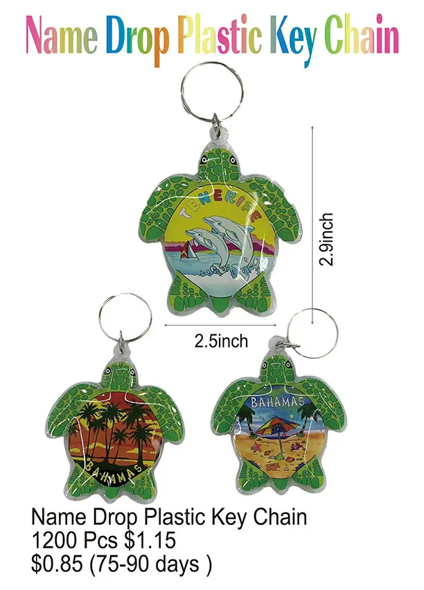 NameDrop-Turtle Key Chain