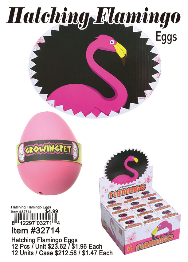 Hatching Flamingo Eggs