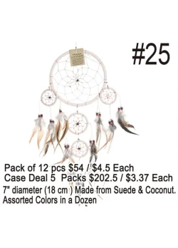 Dream Catchers #25