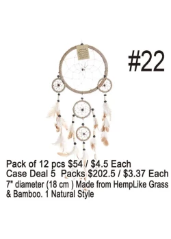 Dream Catchers #22